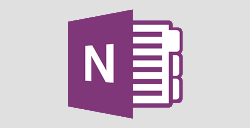 OneNote